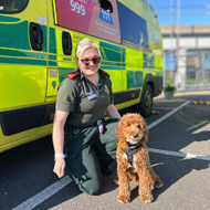 Battersea rescue starts new job with NHS Ambulance