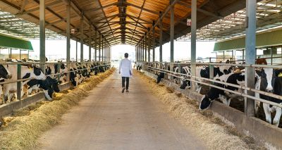 Committee calls for review into vet workforce challenges