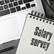 SPVS launches 2026 Salary Survey