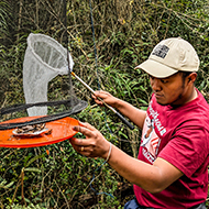 'Biggest ever' butterfly survey to begin in Madagascar