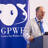 Guinea Pig Welfare Forum to return for third year