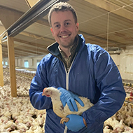 Calculator to optimise pig and broiler feed
