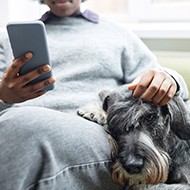 VMD warning amidst social media tick advice