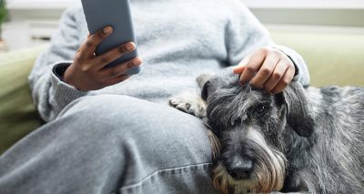 VMD warning amidst social media tick advice