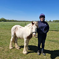 World Horse Welfare vets save orphan foal