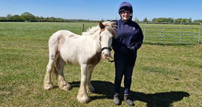 World Horse Welfare vets save orphan foal