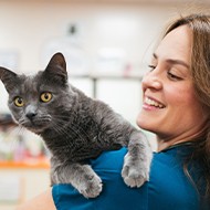 Cat owners needed for vet care study