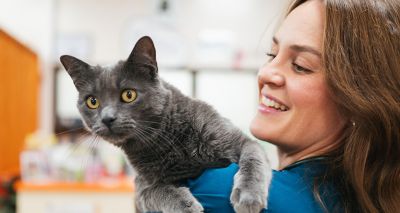 Cat owners needed for vet care study