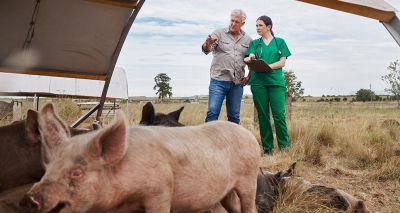 WOAH members agree to new AMR roadmap