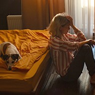 Canine epilepsy burden likened to paediatric care