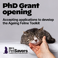 PhD student sought for senior cat project