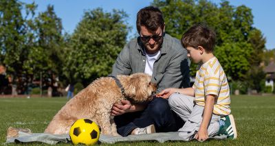 Charities criticise Dangerous Dogs Act on 35th anniversary