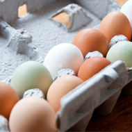 First company in Asia commits to sourcing cage-free eggs