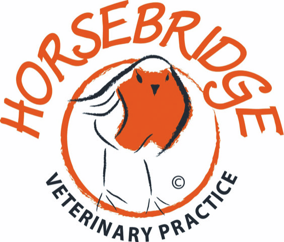 Small Animal Veterinary Surgeon  Horsebridge, East Sussex
