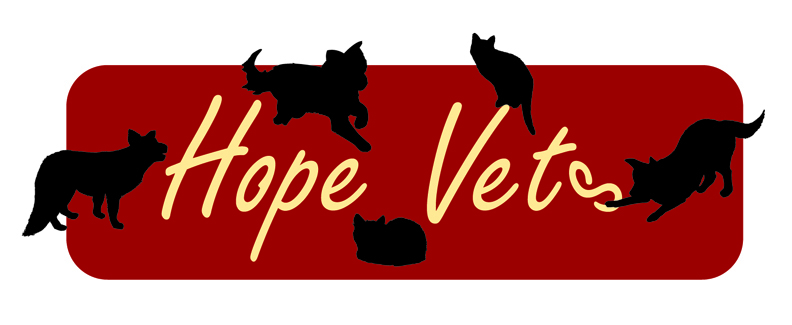 Graduate Veterinary Surgeon  Bovingdon, Hertfordshire