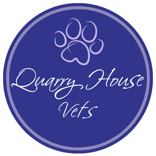 Registered Veterinary Nurse - Torquay, Devon