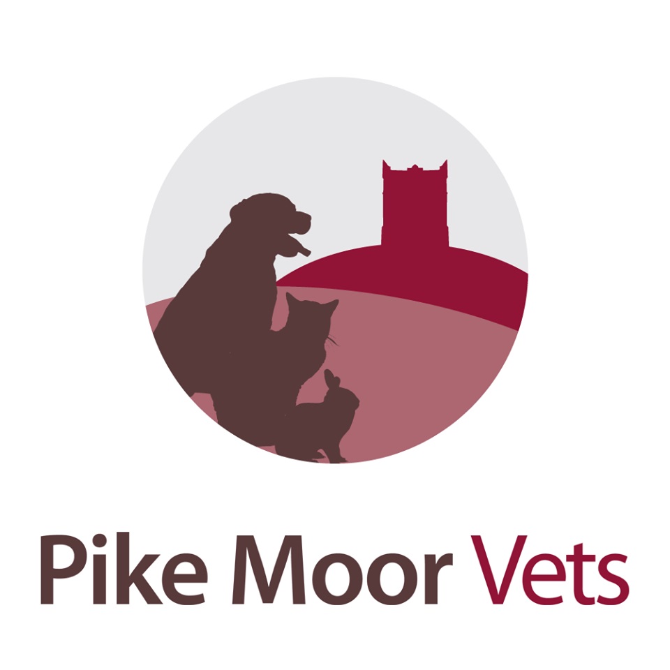 Small Animal Vet (Full or Part-time) � Horwich and Westhoughton, West Bolton