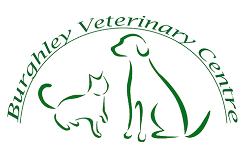 Small Animal Veterinary Surgeon (Full-time)  Stamford, Lincolnshire