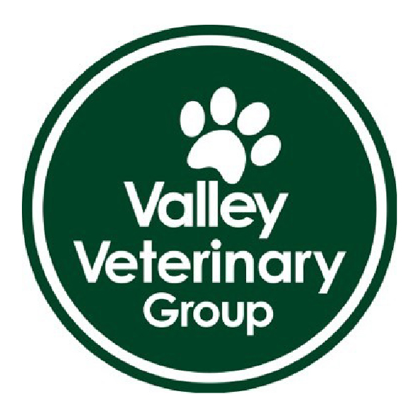 Full-time Veterinary Surgeon � West Berkshire